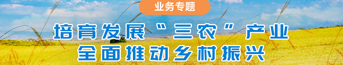 培育发展“三农”产业，全面推动乡村振兴